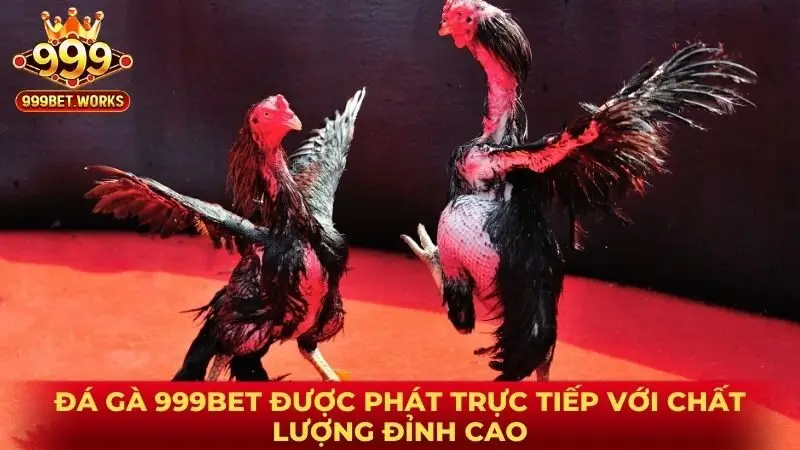 Đá gà 999BET được phát trực tiếp với chất lượng đỉnh cao